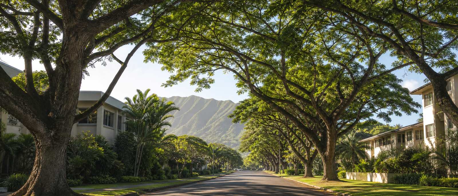 A tree-lined residential street in Honolulu, with the Koʻolau ridge in the distance.